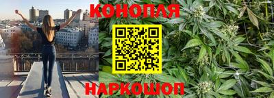 гидра Красноармейск