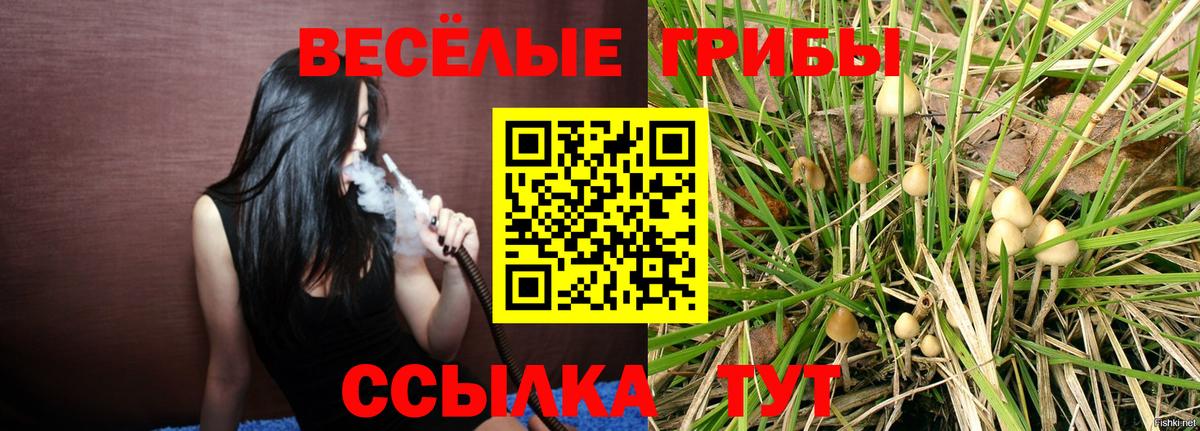Луховицы  Псилоцибиновые грибы Magic Shrooms  Вход с VPN 