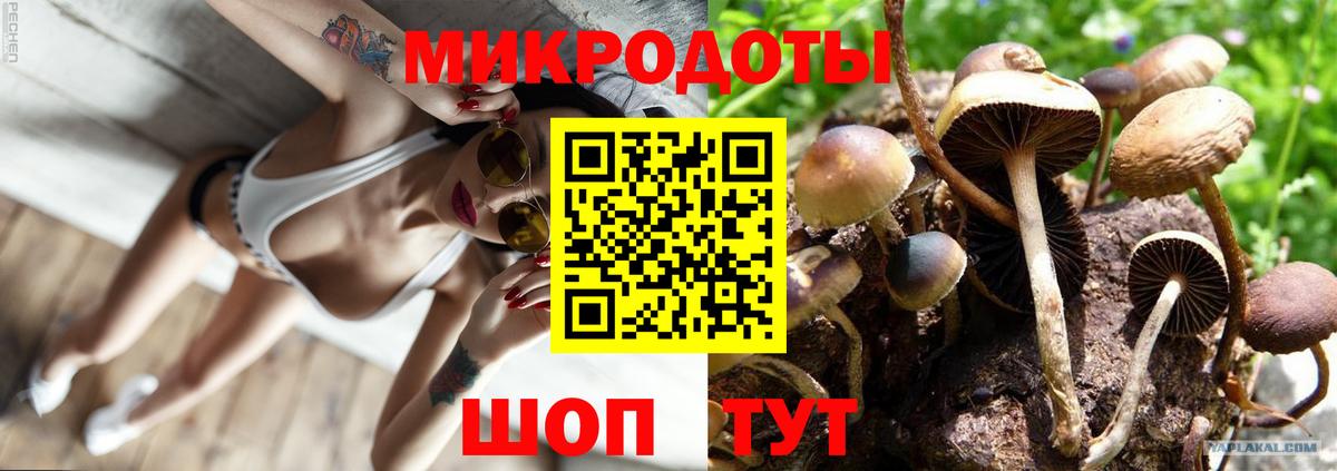 Галлюциногенные грибы GOLDEN TEACHER Луховицы